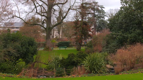 hoge hoek schot over weelderige groene vegetatie in jardin des plantes d'angers park, angers, frankrijk op een bewolkte dag