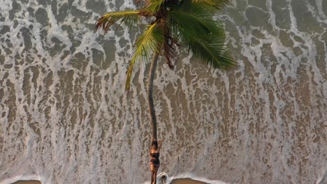 a-girl-laying-down-on-a-palm-tree-while-waves-crash
