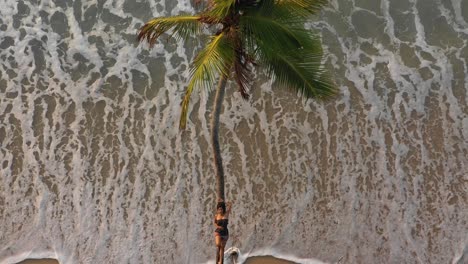 a girl laying down on a palm tree while waves crash