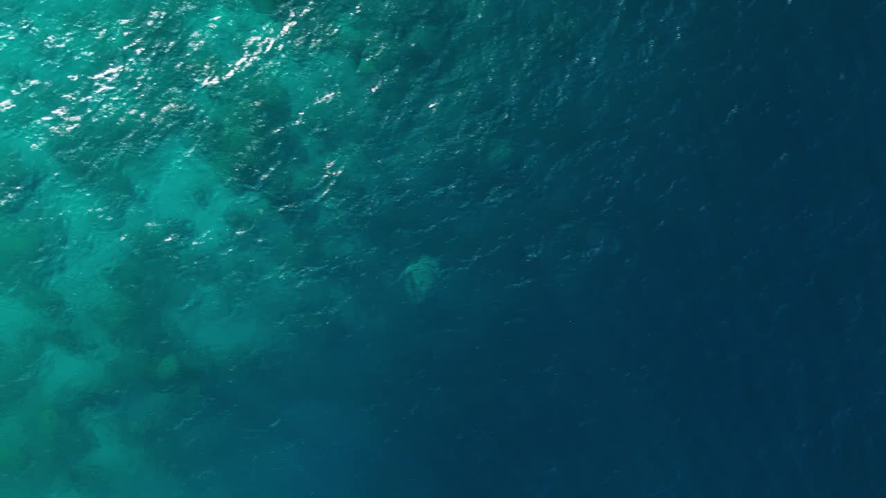 Vista aerea a volo d'uccello di una barriera corallina che degrada nelle acque blu profonde dell'oceano nei Caraibi.
