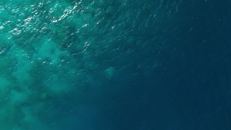 Vista aerea a volo d'uccello di una barriera corallina che degrada nelle acque blu profonde dell'oceano nei Caraibi.