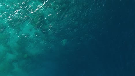 Aerial-bird's-eye-view-of-coral-reef-to-drop-off-of-deep-blue-ocean-water-in-Carribean