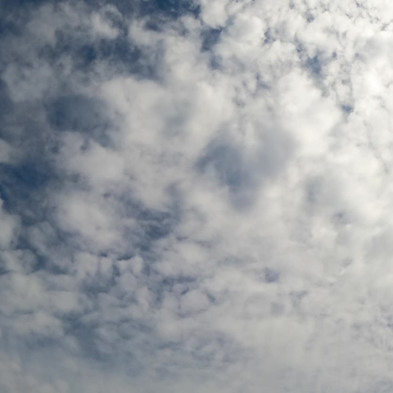 Stratus cloudscape covering the blue skies. Low angle view on the clouds gathering in the atmosphere. Timelapse
