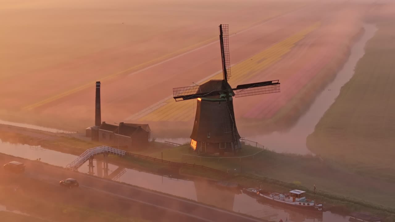 Vista aerea di campi di tulipani splendenti sotto un mulino a vento all'alba, Paesi Bassi