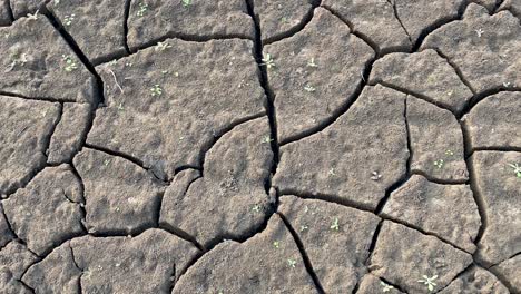 Primer-Plano-Del-Terreno-De-Suelo-Arcilloso-Agrietado-Con-Brotes-En-Crecimiento,-Deslizándose-Lateralmente