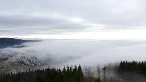 fog advancing over the forest and surrounding hills during a sunny afternoon