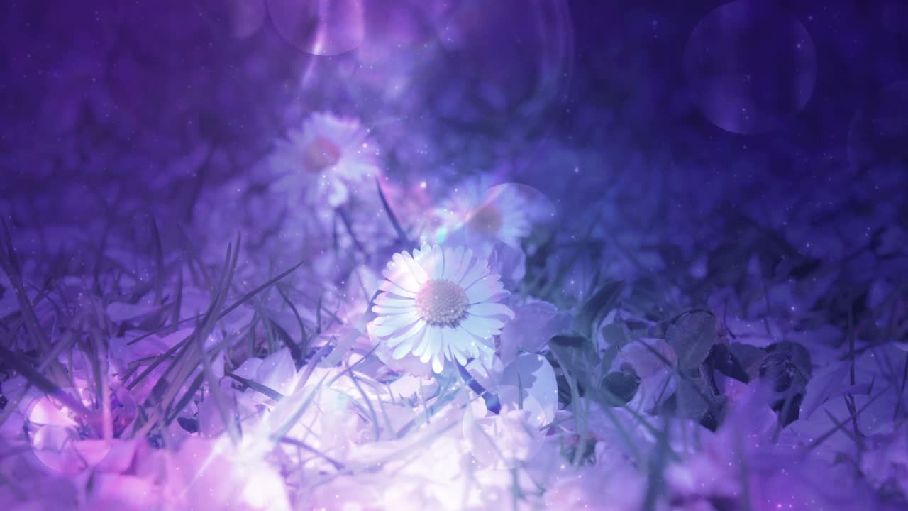 diseño floral brillante y colorido