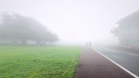 static wide shot of people walking along misty pathway next to green park and modern building, surrounded by dense fog and soft daylight