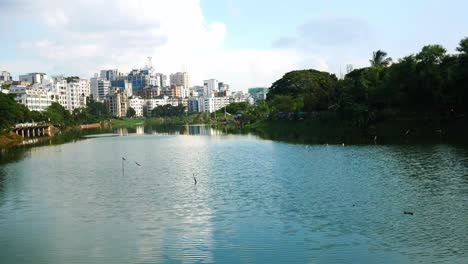 city park with lake and buildings