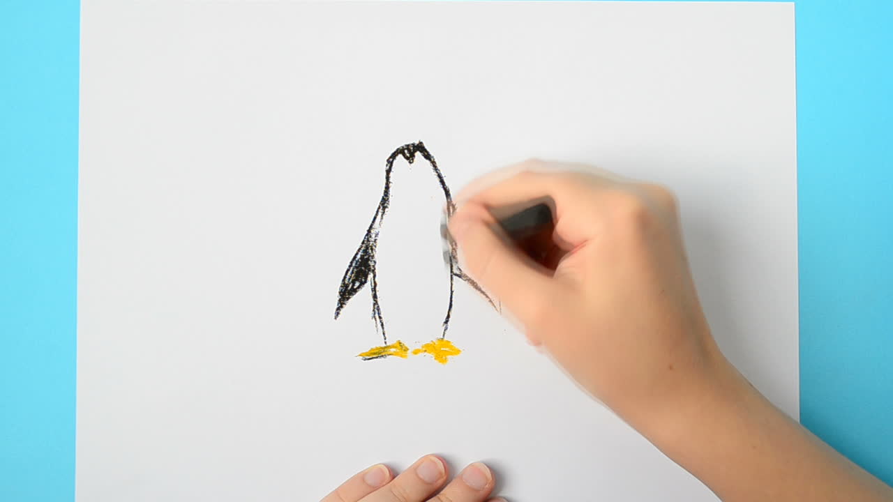 Draw a penguin. The child draws the picture. The accelerated video