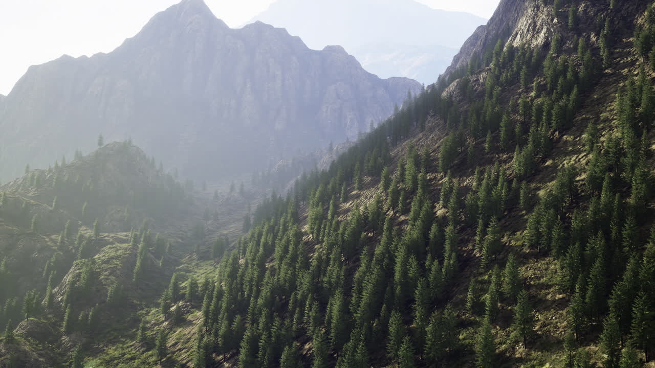 Mountain landscape with lush greenery and distant peaks during sunlight