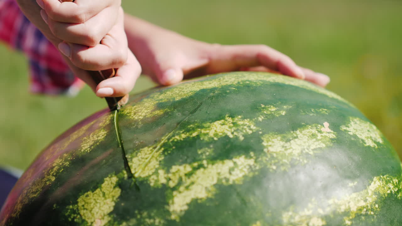 수박 조각 조각
