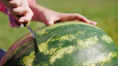 Eine-Wassermelonenscheibe-Schnitzen