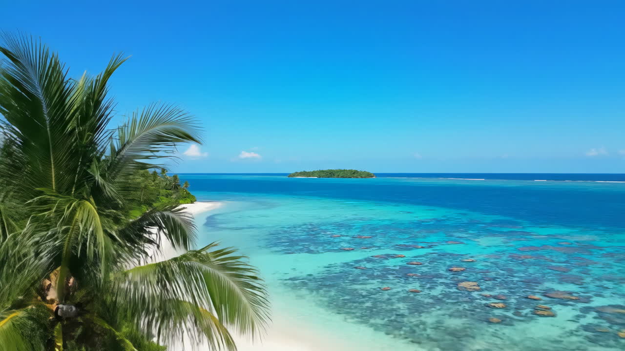 Tropical Paradise: Palm Trees, Blue Ocean, and Distant Island