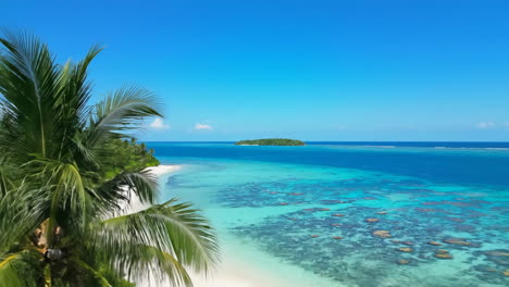 tropical paradise: palm trees, blue ocean, and distant island
