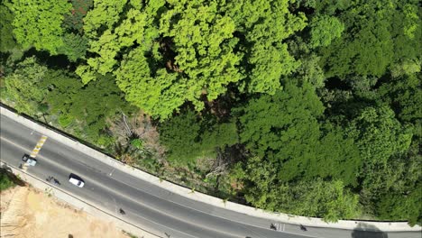 Highway-next-to-ocean-and-vegetation