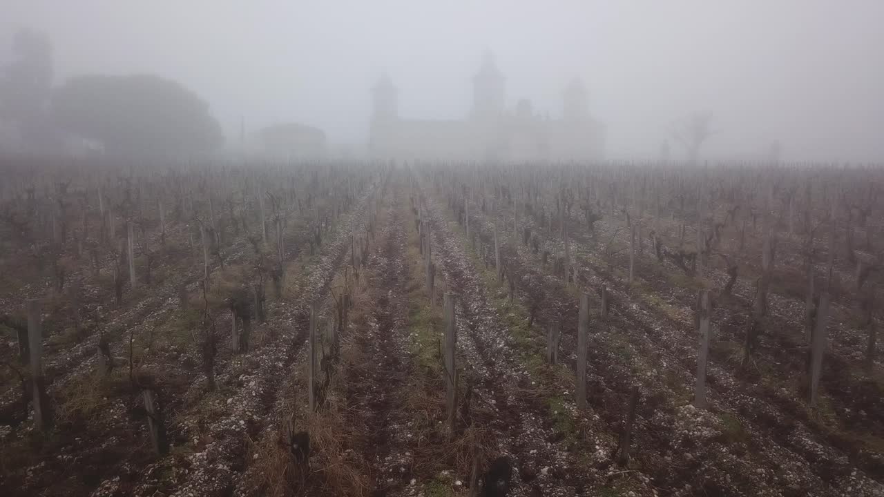 Drone flying over vineyard with Cos d'Estournel castle in background on foggy day, Bordeaux in France. Aerial sideways