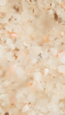 View of bottom of stormy sea. Wave lifts up white and beige pebbles and dark dirt particles. Transparent water moves in fast stream moving soil elements