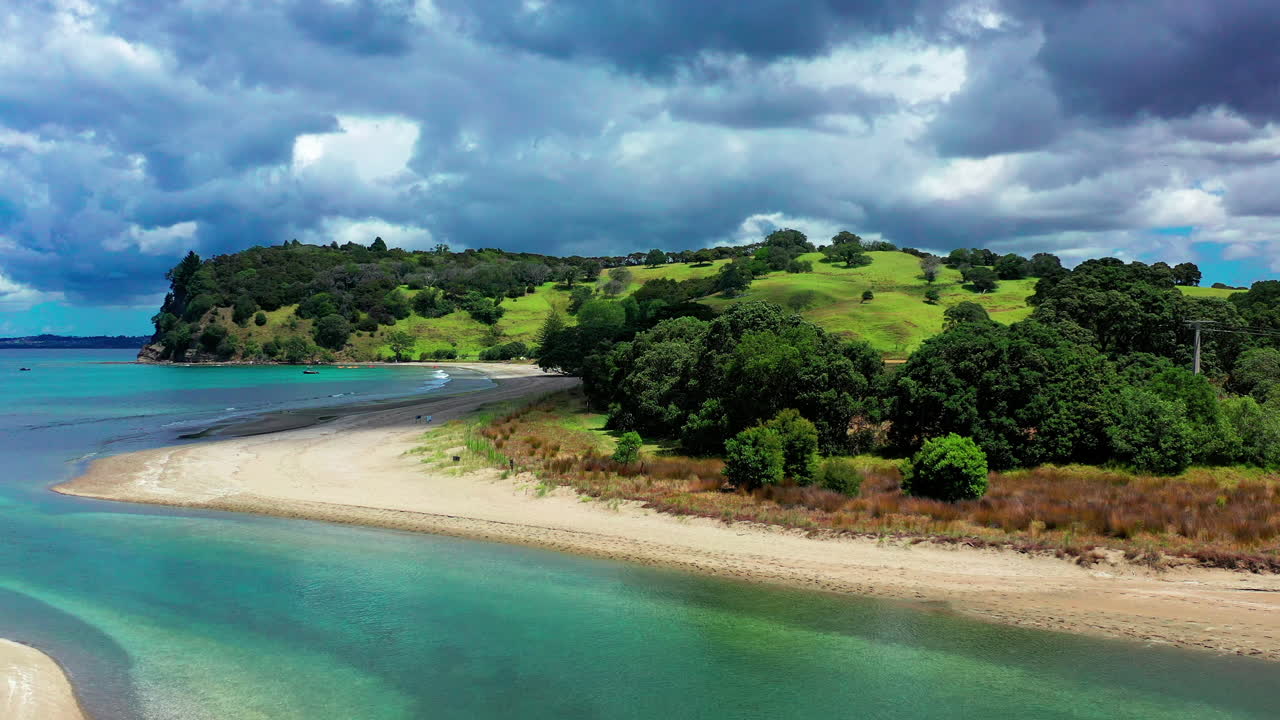 reserva de playa te muri junto con bosque verde en la colina ubicada en auckland, nueva zelanda