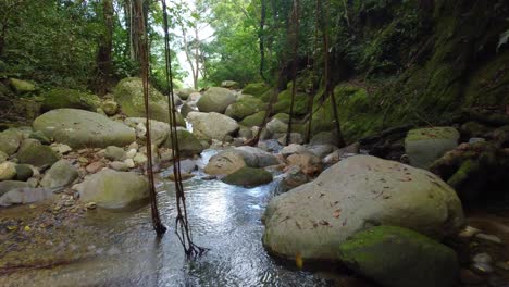 Sereno-Arroyo-Rocoso-Que-Fluye-A-Través-De-La-Selva-En-Santa-Marta,-Colombia