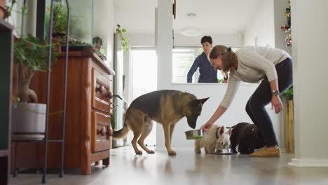 caucasian woman feeding her dogs in the living room at home