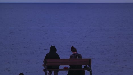 two people and a dog sitting on a bench by the water at dusk