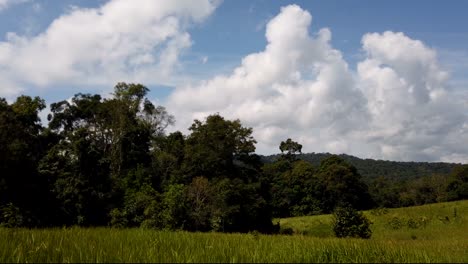 Landschaft-Im-Khao-Yai-Nationalpark,-Bäume-Und-Berge-Mit-Flauschigen-Großen-Wolken,-Die-Schatten-Werfen