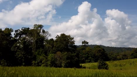 paisaje en el parque nacional de khao yai, árboles y montañas con grandes nubes esponjosas que proyectan sombras