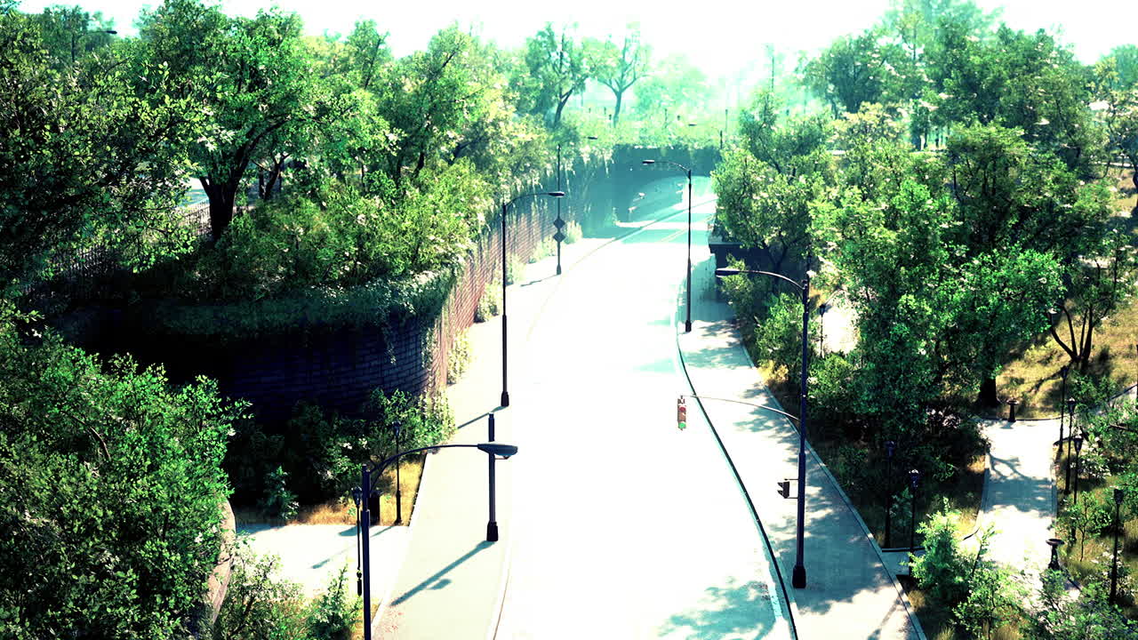 나무 가 있는 도시 의 비어 있는 아스팔트 도로