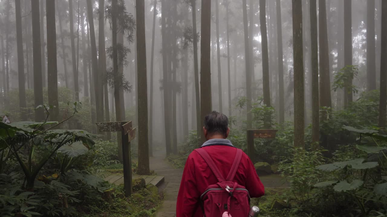 안개가 자욱하고 극적인 대만 산 숲길을 걷는 배낭을 메고 있는 남자를 따라