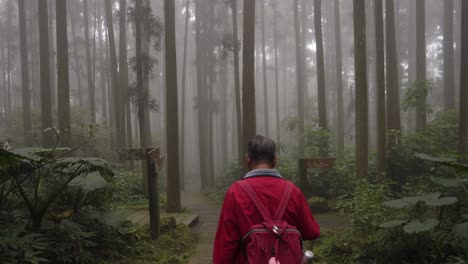 Following-man-wearing-backpack-walking-through-misty,-dramatic-Taiwan-mountain-woodland-trail