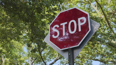 Low-Angle-of-Stop-Sign-Surrounded-by-Green-Leafy-Trees-During-The-Daytime-in-Brooklyn,-New-York