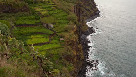 coastal terraced farmland with cliffs and ocean view