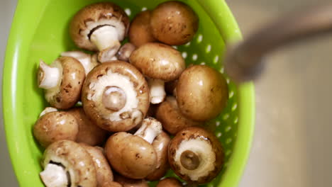 Rinsing,-tossing-and-straining-fresh-mushrooms-under-the-kitchen-sink-faucet---slow-motion