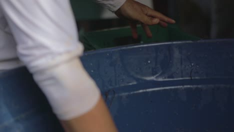 Farmer-washes-dirt-off-freshly-harvested-beets-in-a-plastic-tub