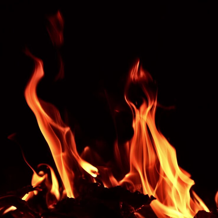 Legna che brucia nel falò. Vista accogliente e calda di un bellissimo fuoco di notte. Primo piano