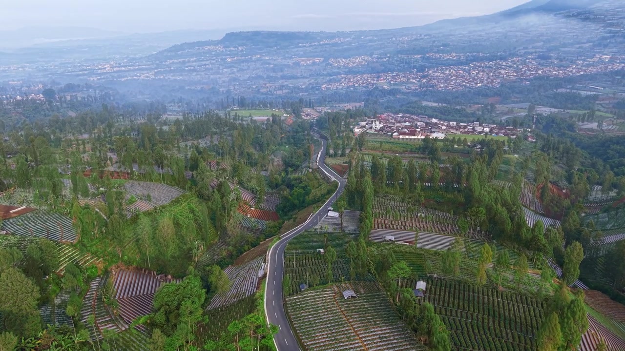 Carretera sinuosa en medio de granjas de vegetales de montaña. Terrazas verdes y paisaje fresco, perfecto para imágenes de naturaleza, agricultura y exteriores.