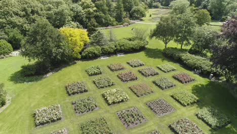 cámara lenta de drones de un jardín de flores holandés durante la primavera, con muchas flores y árboles verdes