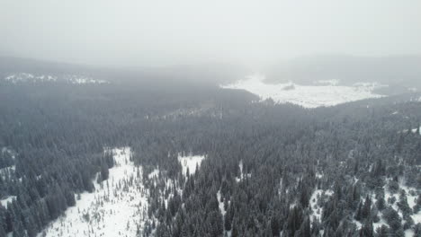 Drone-Aerial-View-Flying-Above-Alpine-Forest-Hills-In-Rocky-Mountains-Near-Nederland-Boulder-Colorado-During-Heavy-Hazy-Snowstorm-Blizzard