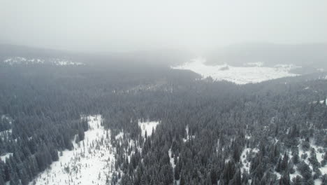 Drohnen-Luftaufnahme,-Die-Während-Eines-Schweren-Dunstigen-Schneesturms-über-Alpinen-Waldhügeln-In-Felsigen-Bergen-In-Der-Nähe-Von-Nederland-Boulder-Colorado-Fliegt