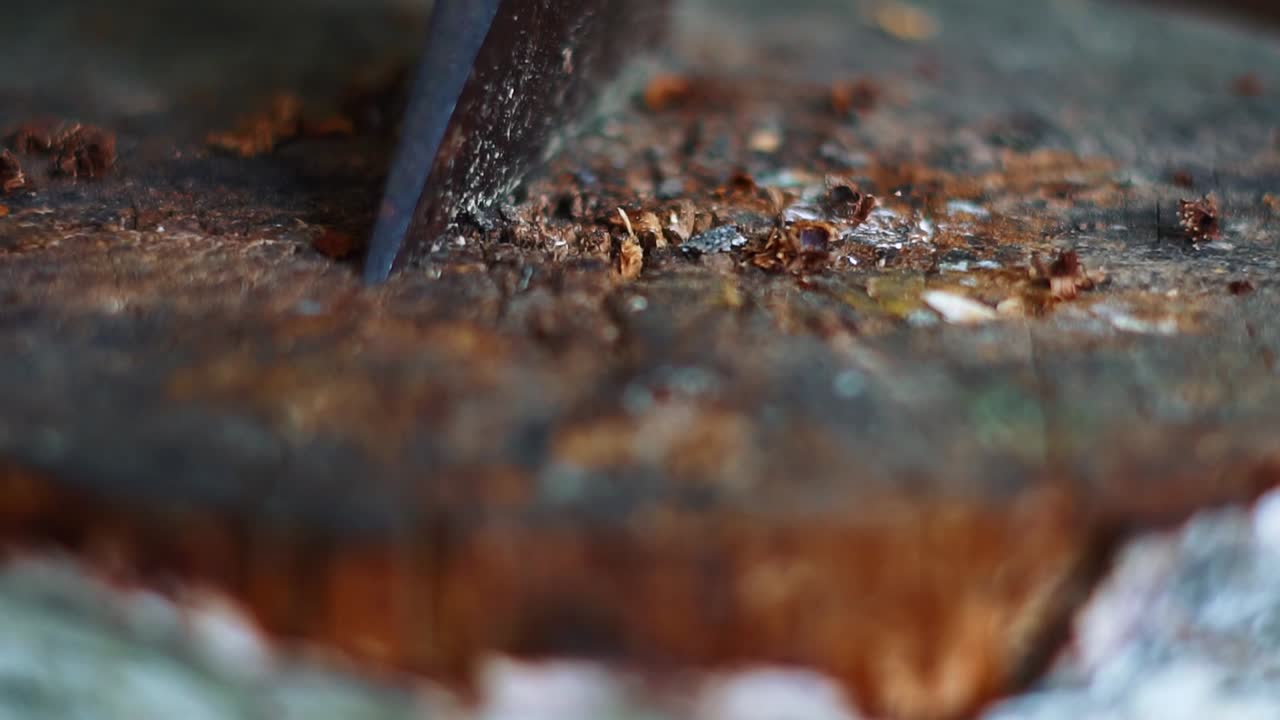 Close-up of a Rusty Axe Head Embedded in a Wood Stump