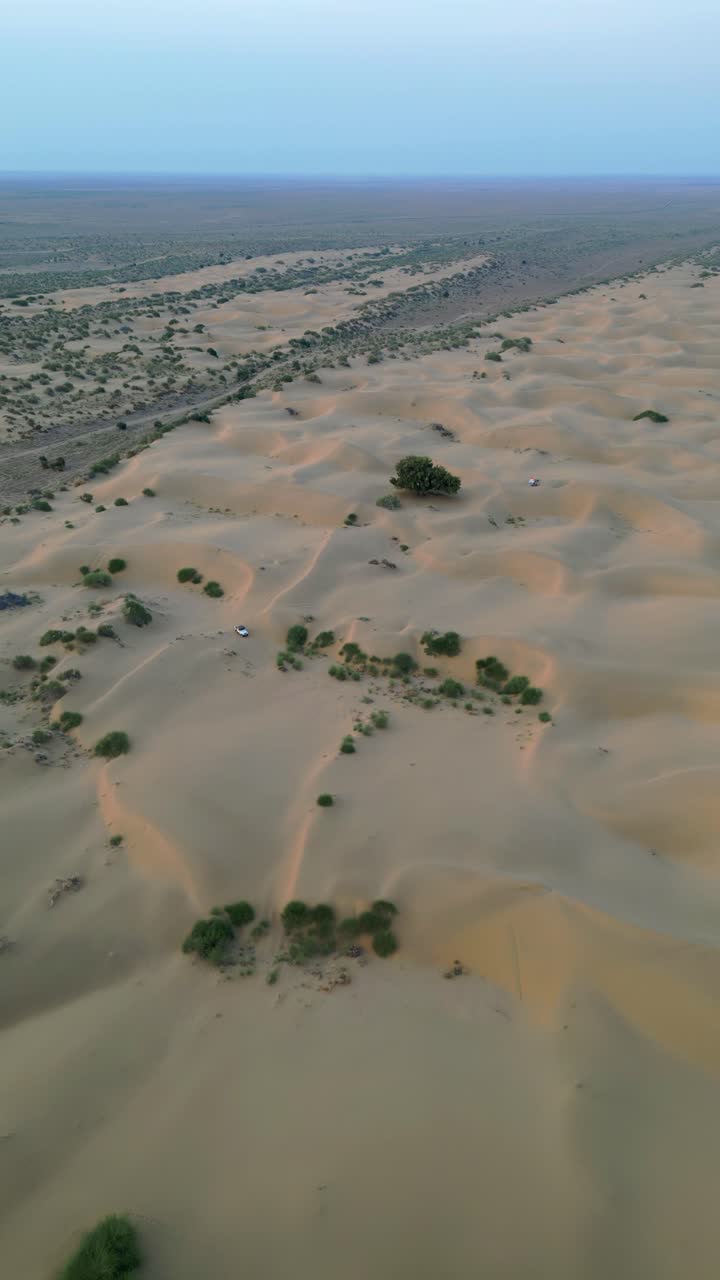 라자스탄의 제이살메르에 있는 끝없는 황금 모래 언덕의 공중 보기, 은 파란 하늘 아래 푸른 식물로 가득 차 있습니다.