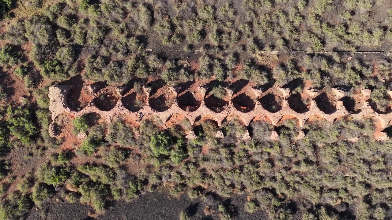 Vista aerea con drone 4K UHD dall'alto che guarda giù verso una fila in decomposizione di forni circolari a carbone. Le rovine abbandonate della città fantasma di Waldo vengono lentamente riconquistate dalla vegetazione selvaggia e dal terreno scuro