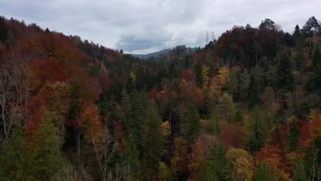 Drone-Volando-Sobre-El-Bosque-De-Otoño-En-Suiza