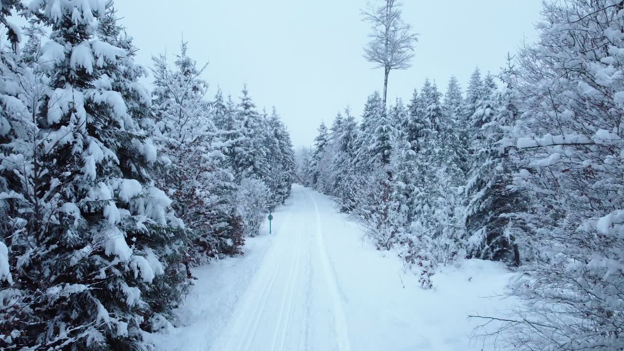 Overflyvning over rimfrostdekket landevei og skog mot overskyet himmel i Jorat-skogen i Kanton Vaud, Sveits