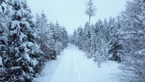 Vorbeiflug-über-Frostige-Landstraße-Und-Wald-Vor-Bewölktem-Himmel-Im-Wald-Von-Jorat-Im-Kanton-Waadt,-Schweiz