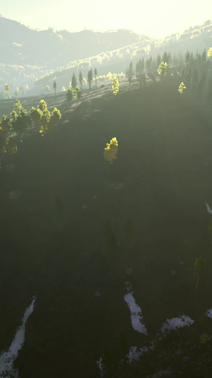 Serene mountain landscape at dawn with golden sunlight illuminating trees