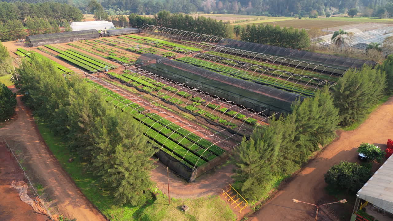Aerial view of large greenhouse surrounded by greenery.