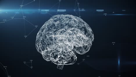 modelo digital del cerebro