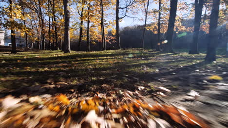 moving shots of the surroundings of the mount-royal in autumn in montreal, quebec, canada